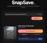 snapsavePortada.webp